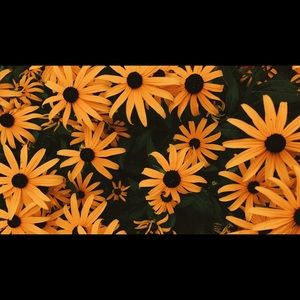 Meet your Posher, Chyla